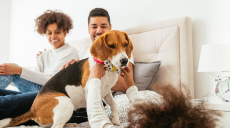 Mini-split systems are incredibly reliable and energy efficient, start keeping your home comfortable year round with a Fujitsu or Daikin Ductless system.